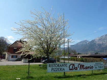 Photo: Ristorante Pizzeria Da Mario